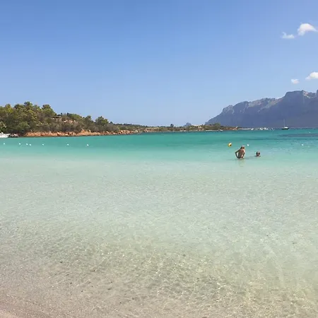 Flamingo 9 - Olbia - Localita Appartamento