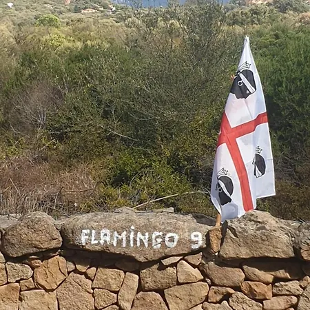 Flamingo 9 - Olbia - Localita Appartamento Murta Maria